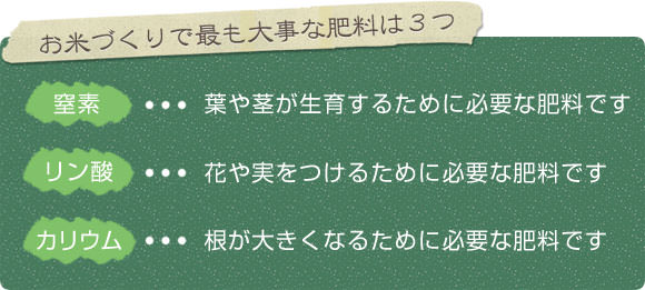 お米作りで最も大事な肥料は3つ