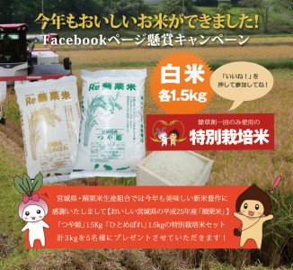 facebook_campaign_kabukuri