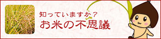 知っていますか？お米の不思議