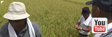動画で観る蕪栗の米づくり